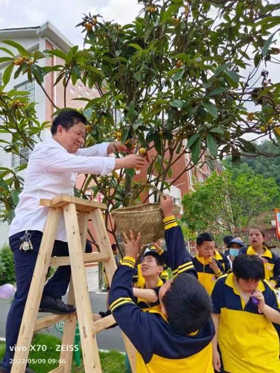 農(nóng)療康復(fù)身心健，共賞枇杷一樹(shù)金——邵陽(yáng)縣特別教育黌舍成功舉辦枇杷文化節(jié)