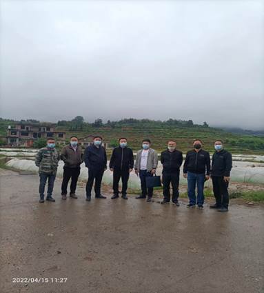 省市向?qū)д{(diào)研推進(jìn)新寧縣清江橋鄉(xiāng)糧食生產(chǎn)工作