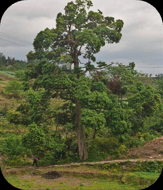 愛惜生命，預(yù)防溺水——黃塘大禾里黌舍防溺水“千師訪萬(wàn)戶”運(yùn)動(dòng)