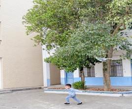 新寧縣清江橋鄉(xiāng)中間幼兒園開展風(fēng)箏舞春意——巧手繪風(fēng)箏教育運(yùn)動(dòng)