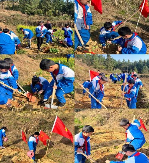 種一棵小樹，凈一方綠土——金稱市鎮(zhèn)中間完小3·12植樹運(yùn)動(dòng)