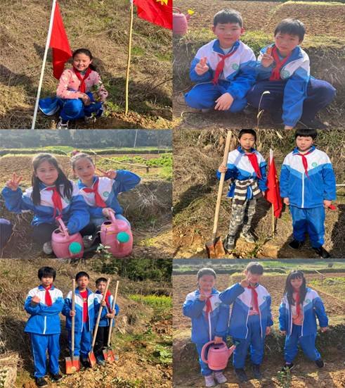 種一棵小樹，凈一方綠土——金稱市鎮(zhèn)中間完小3·12植樹運(yùn)動(dòng)