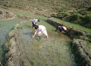 記新寧縣教育局駐黃龍鎮(zhèn)粗石村扶貧工作隊(duì)