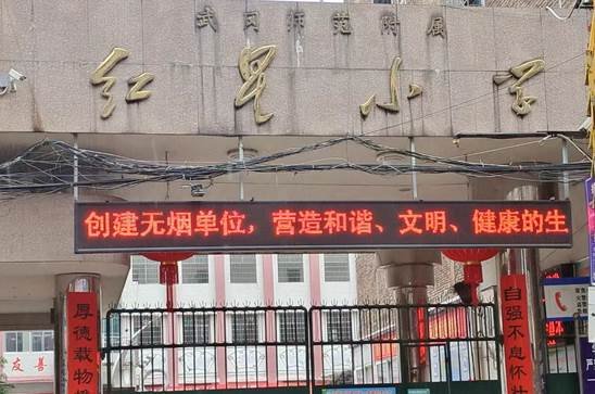 武岡市紅星小學(xué)開展第35個“世界無煙日”主題宣傳運動