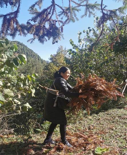 激揚生活風帆  開拓團隊研修——