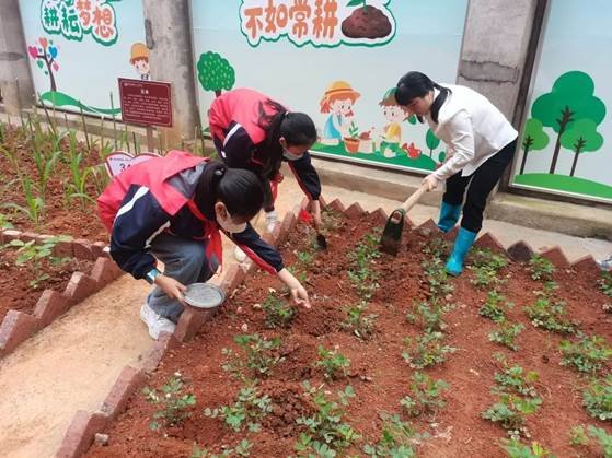 勞動教育第2期校園童耕場圃勞作記║觀察蔬菜生長 學習耕種技術(shù)