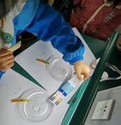 邵陽縣金稱市鎮(zhèn)中間完全小學青少年科學調查體驗運動獲全國“良好黌舍”獎