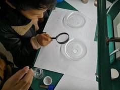 邵陽縣金稱市鎮(zhèn)中間完全小學青少年科學調查體驗運動獲全國“良好黌舍”獎