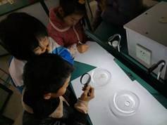 邵陽縣金稱市鎮(zhèn)中間完全小學青少年科學調查體驗運動獲全國“良好黌舍”獎