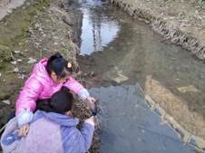 邵陽縣金稱市鎮(zhèn)中間完全小學青少年科學調查體驗運動獲全國“良好黌舍”獎