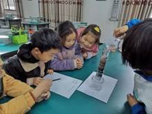 邵陽縣金稱市鎮(zhèn)中間完全小學青少年科學調查體驗運動獲全國“良好黌舍”獎