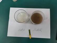 邵陽縣金稱市鎮(zhèn)中間完全小學青少年科學調查體驗運動獲全國“良好黌舍”獎