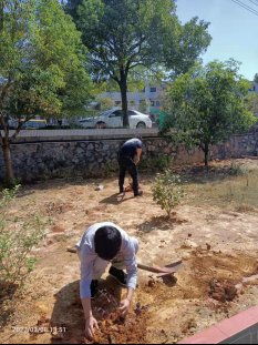 擁抱春天，播種綠色 新寧縣白沙鎮(zhèn)中間小學(xué)開展植樹節(jié)運(yùn)動(dòng)