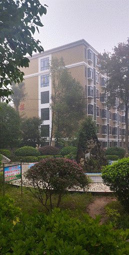 我在新寧二中當實習教師