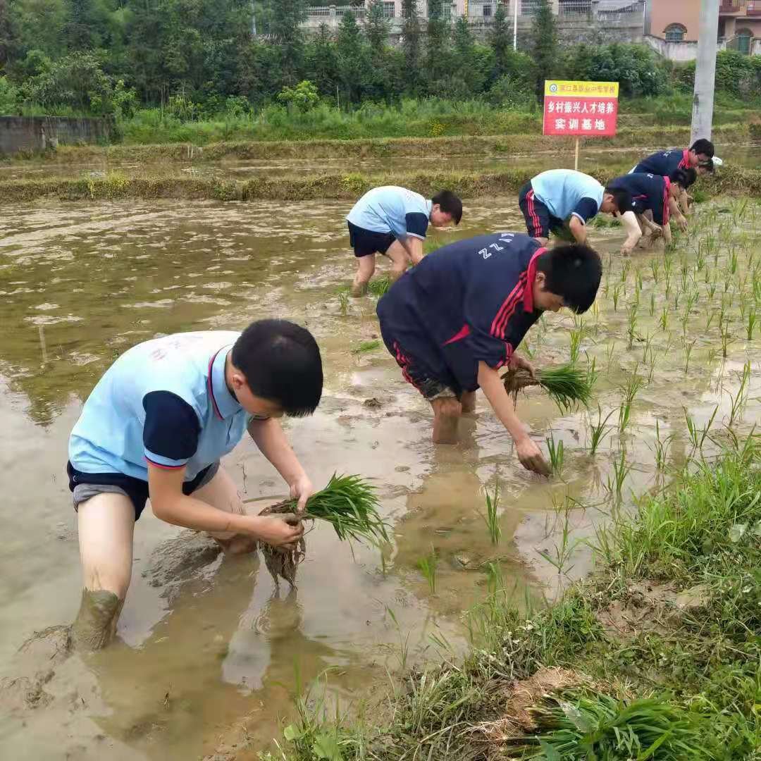 墟落振興  富民強(qiáng)國—洞口職業(yè)中專黌舍增強(qiáng)農(nóng)業(yè)農(nóng)村生態(tài)科學(xué)發(fā)展