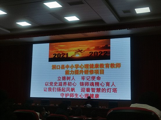 以心育心，樹心樹形——洞口縣中小學(xué)生理健康教育教師能力提拔培訓(xùn)班