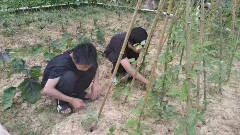 文體之花競(jìng)綻放，課后服務(wù)結(jié)碩果